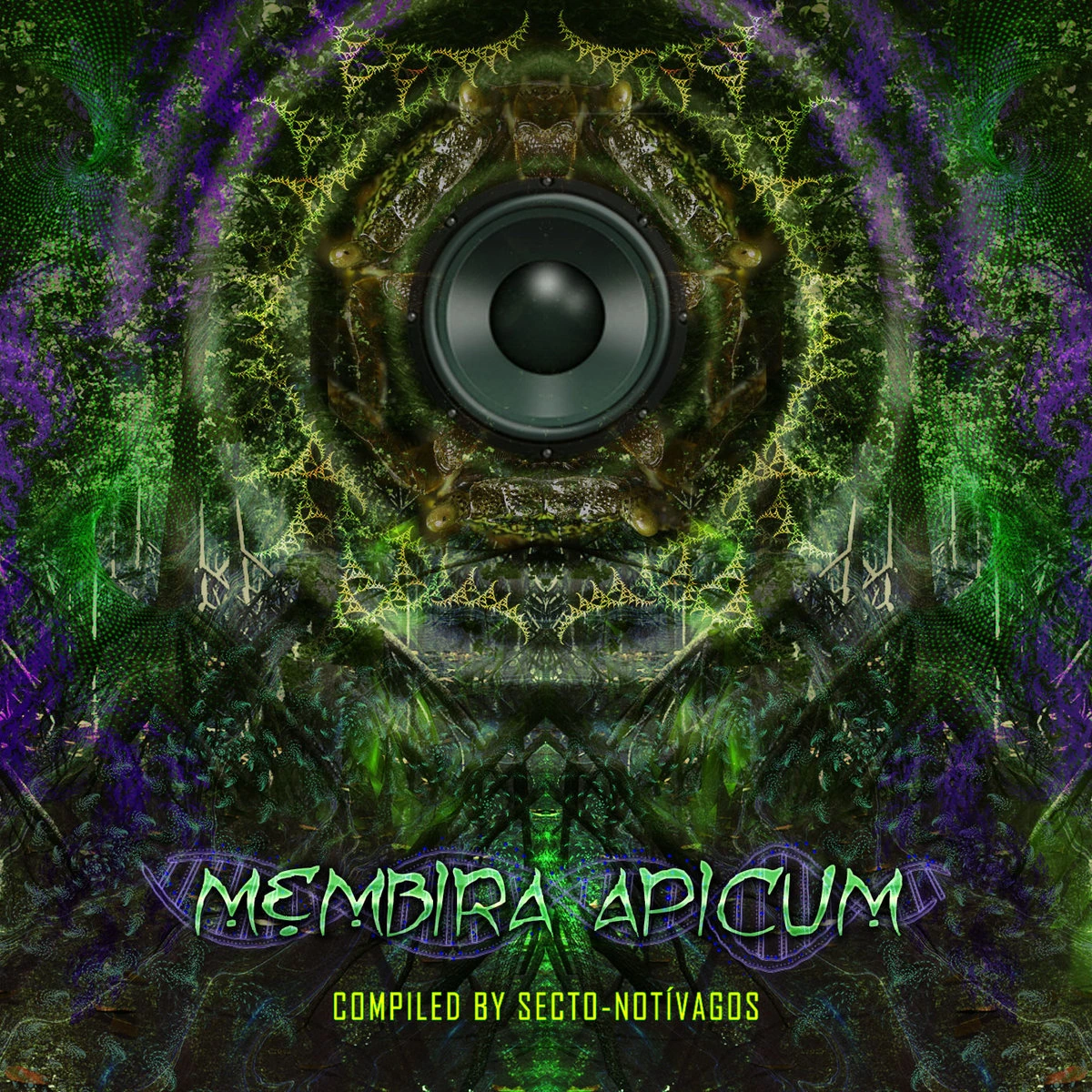 Capa de Membira Apicum