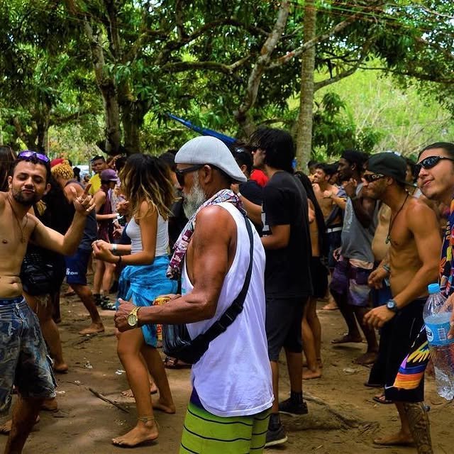 Arte e registros visuais ligados à Forest Psychedelic