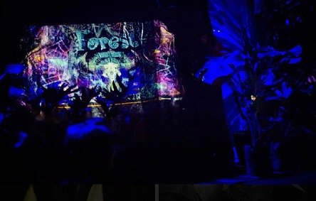 Registro visual de uma edição indoor da Forest