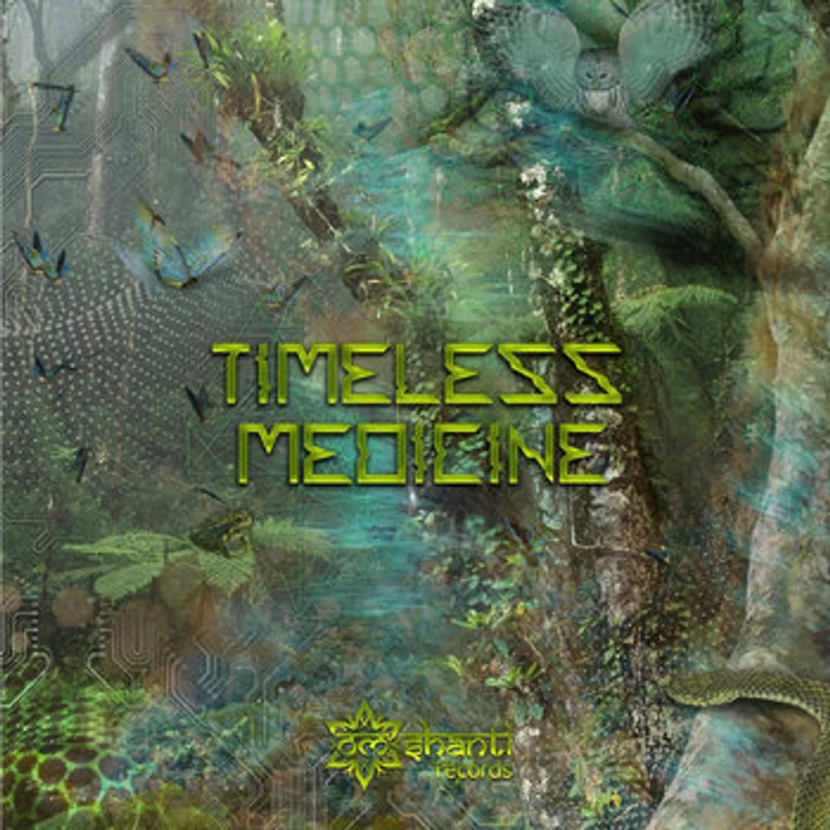 Capa de VA · Timeless Medicine